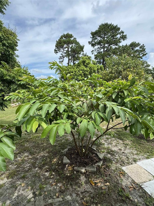 9355 Telfer Run, Orlando, FL 32817 - photo 31