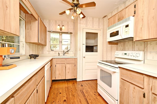 1606 Orangewood Ave, Orlando, FL 32806 - photo 18
