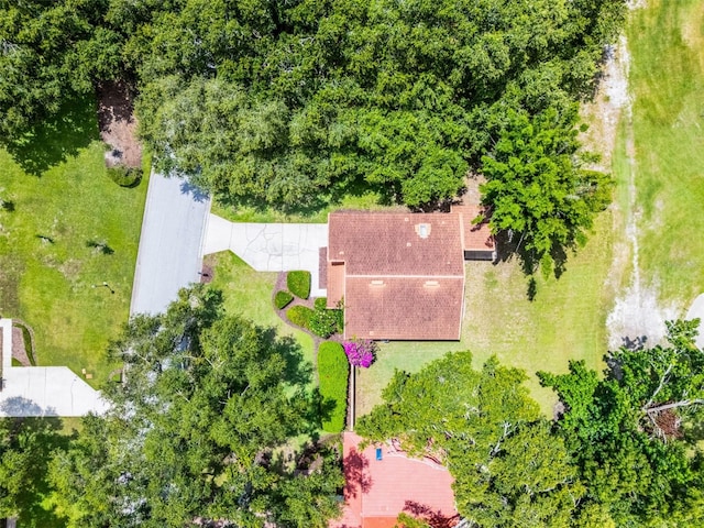 6301 Parson Brown Dr, Orlando, FL 32819 - photo 18