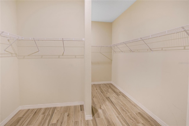 11818 Tetrafin Dr, Riverview, FL 33579 - photo 30