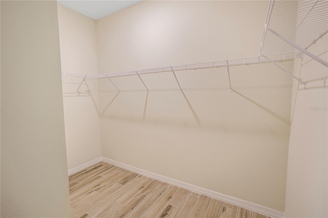11818 Tetrafin Dr, Riverview, FL 33579 - photo 31