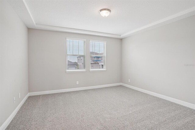 16526 Silver Brook Way, Winter Garden, FL 34787 - spare room featuring carpet floors and a raised ceiling