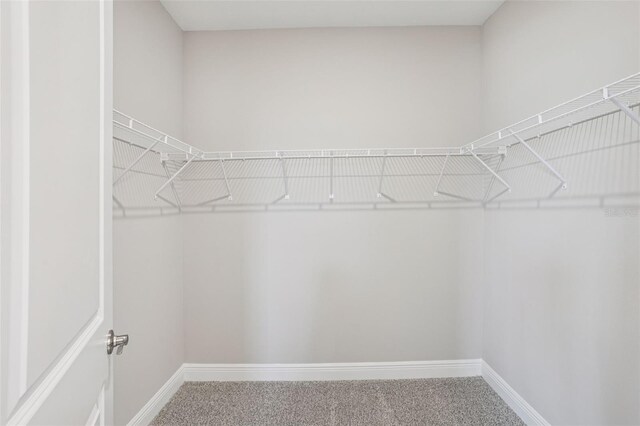 16526 Silver Brook Way, Winter Garden, FL 34787 - walk in closet featuring carpet
