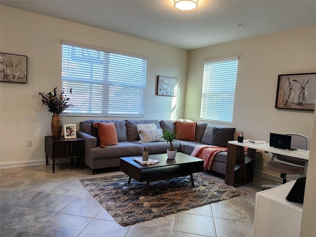 11802 Pulitzer Pl, Orlando, FL 32832 - living area with a textured ceiling and baseboards