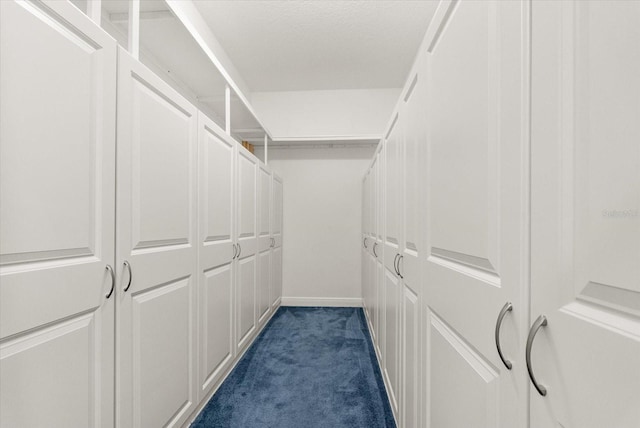 18920 Overton St, Orlando, FL 32833 - walk in closet with dark carpet