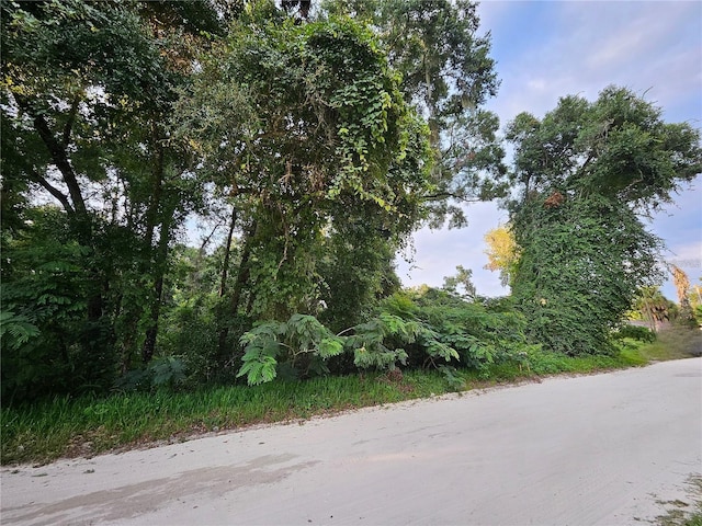 Se 131 Place, Belleview, FL 34420
