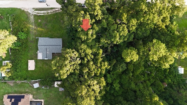 Se 131 Place, Belleview, FL 34420