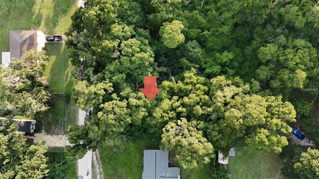 Se 131 Place, Belleview, FL 34420