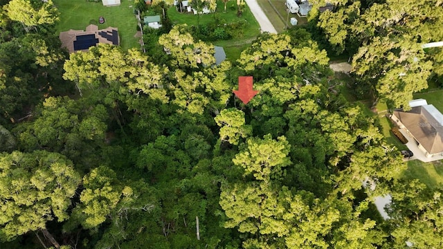 Se 131 Place, Belleview, FL 34420