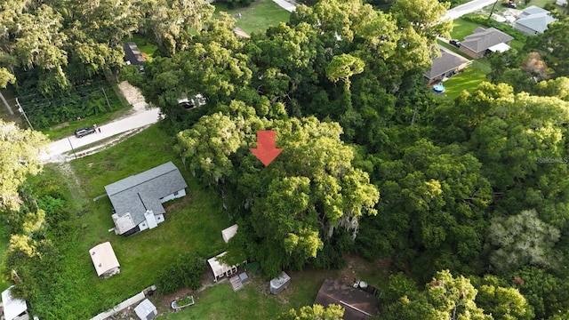 Se 131 Place, Belleview, FL 34420