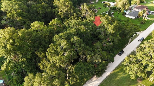 Se 131 Place, Belleview, FL 34420