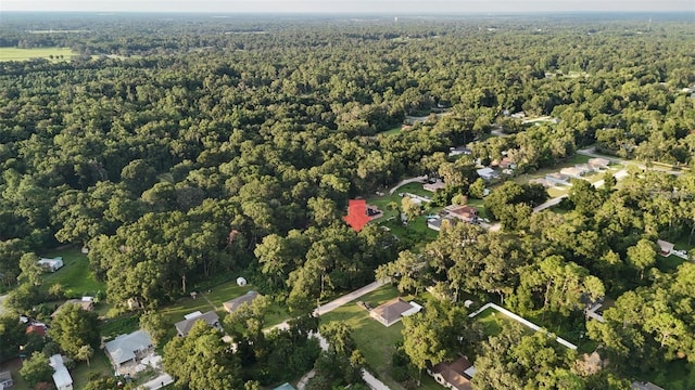 Se 131 Place, Belleview, FL 34420