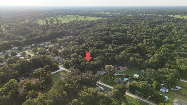 Se 131 Place, Belleview, FL 34420