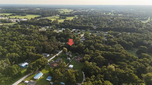 Se 131 Place, Belleview, FL 34420