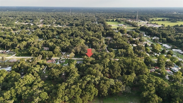 Se 131 Place, Belleview, FL 34420