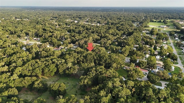 Se 131 Place, Belleview, FL 34420