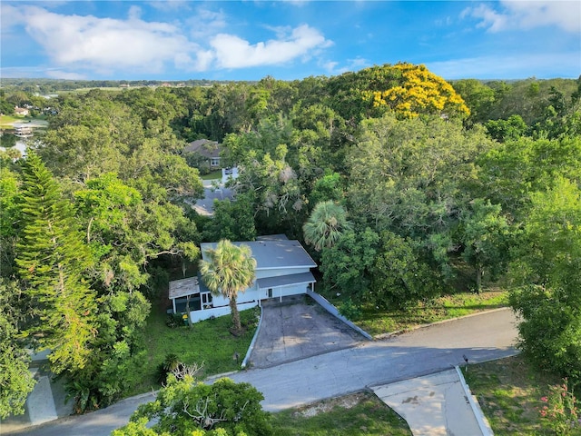 1630 Lakeview Ct, Eustis, FL 32726 - aerial view of property and surrounding area featuring a forest