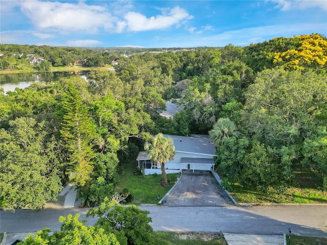 1630 Lakeview Ct, Eustis, FL 32726 - view of subject property with a forest and a large body of water