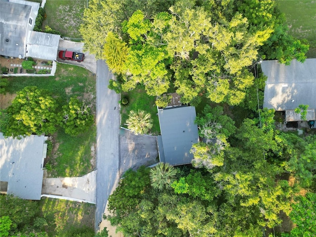 1630 Lakeview Ct, Eustis, FL 32726 - drone / aerial view