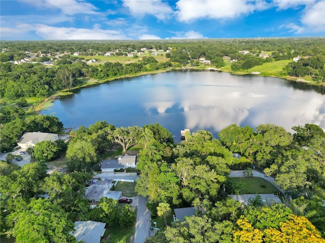 1630 Lakeview Ct, Eustis, FL 32726 - aerial view of property's location with a nearby body of water