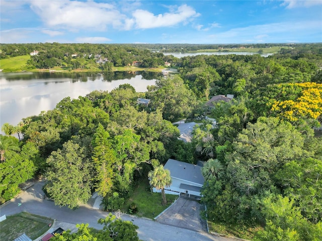 1630 Lakeview Ct, Eustis, FL 32726 - aerial view of property's location featuring a nearby body of water