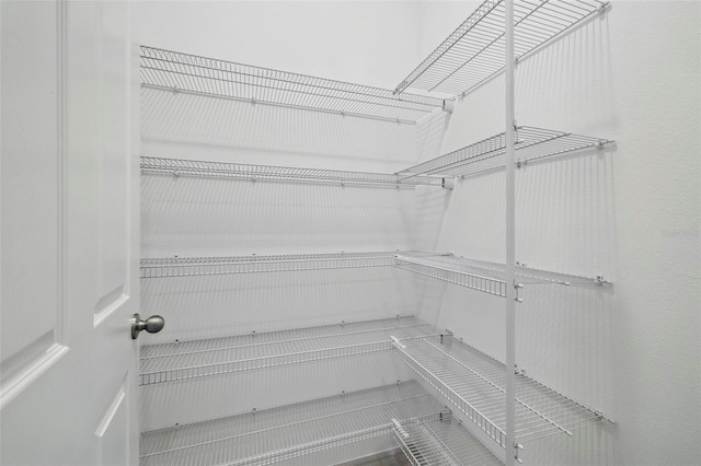 5204 Obsidian Gate Dr, Mount Dora, FL 32757 - view of pantry