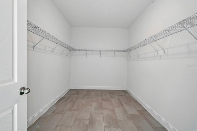 5204 Obsidian Gate Dr, Mount Dora, FL 32757 - walk in closet with light wood-style flooring