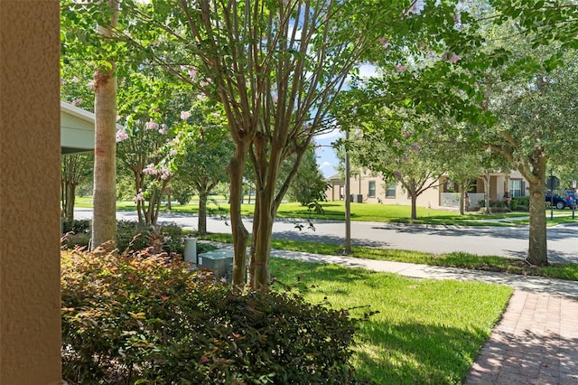 14897 Evergreen Oak Loop, Winter Garden, FL 34787 - view of green lawn