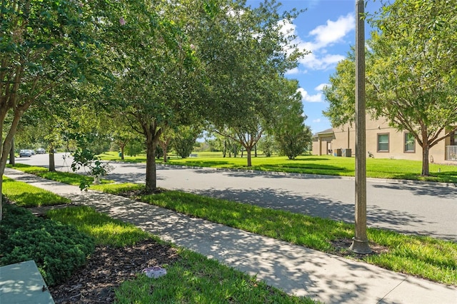 14897 Evergreen Oak Loop, Winter Garden, FL 34787 - view of community with a yard