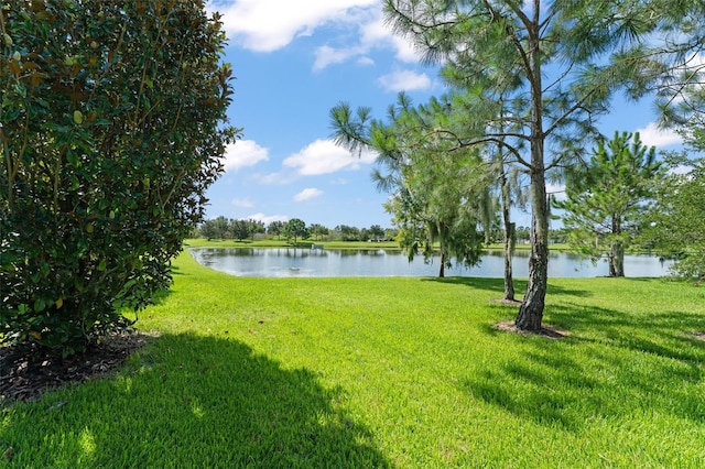 14897 Evergreen Oak Loop, Winter Garden, FL 34787 - view of grassy yard featuring a water view