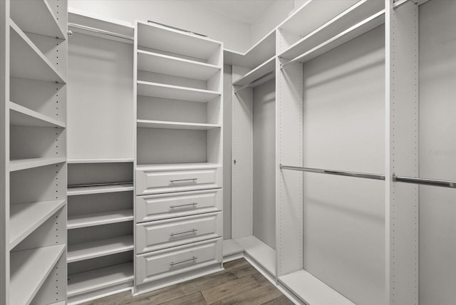 917 Southern Oak Ln, Apopka, FL 32712 - walk in closet featuring dark wood-style flooring