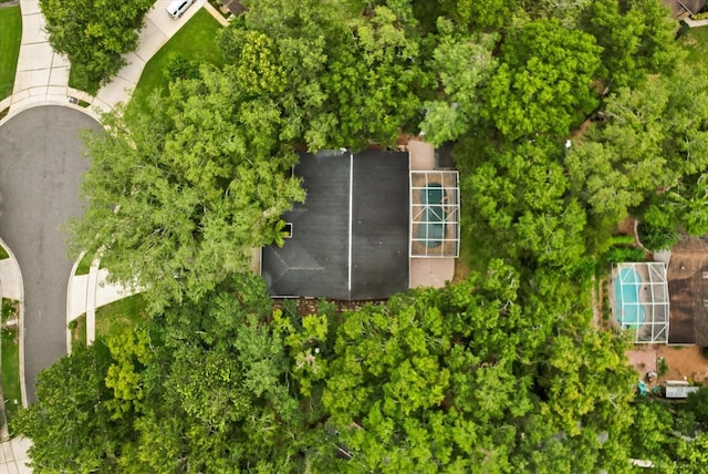 917 Southern Oak Ln, Apopka, FL 32712 - drone / aerial view