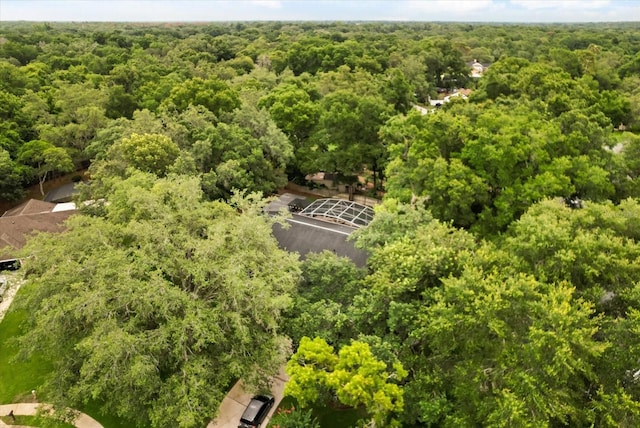 917 Southern Oak Ln, Apopka, FL 32712 - aerial view of a forest
