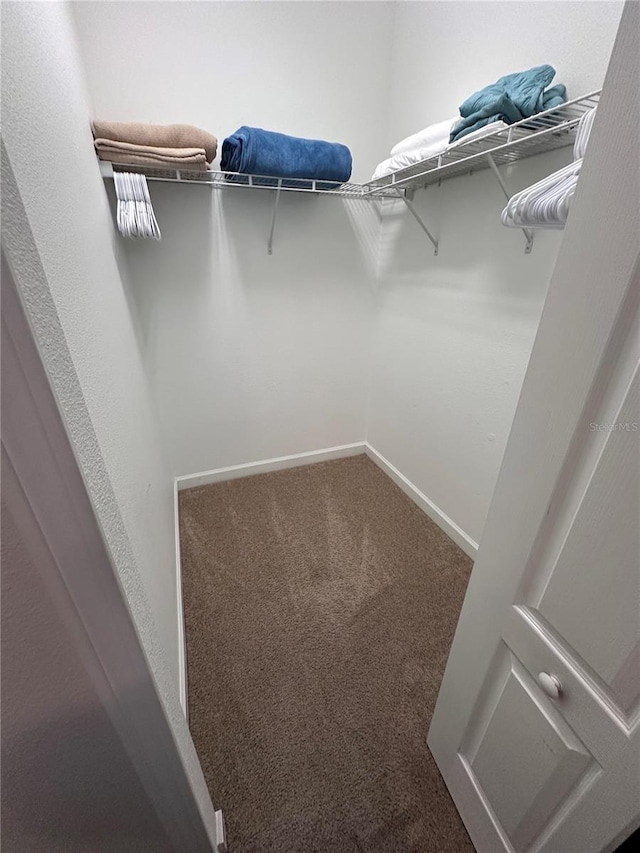 1452 Moon Valley Dr, Davenport, FL 33896 - spacious closet with carpet flooring