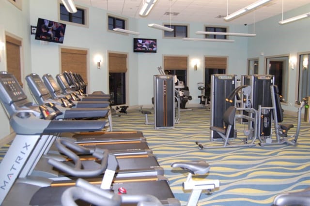 1452 Moon Valley Dr, Davenport, FL 33896 - gym featuring a towering ceiling and carpet floors