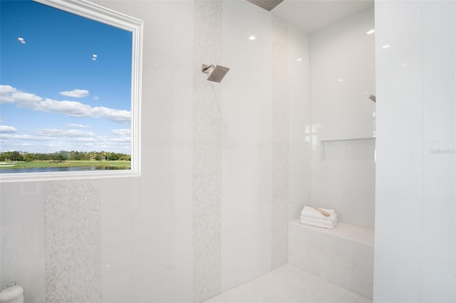 4007 Grande Brick Loop Unit 13, Orlando, FL 32837 - bathroom featuring tiled shower and a water view
