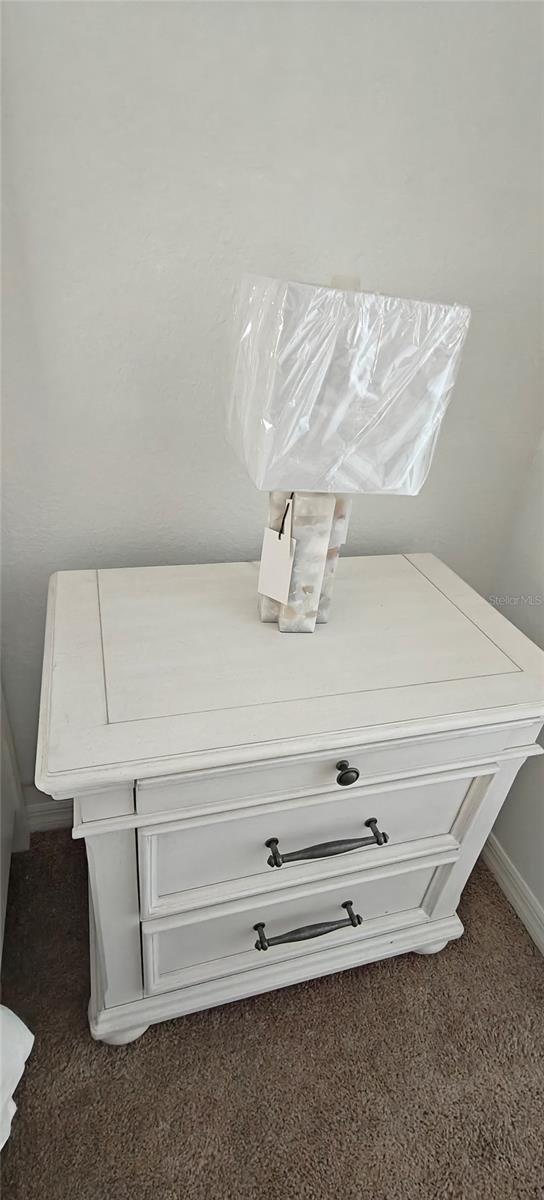 7220 Westpointe Blvd Unit 1429, Orlando, FL 32835 - detailed view of carpet flooring