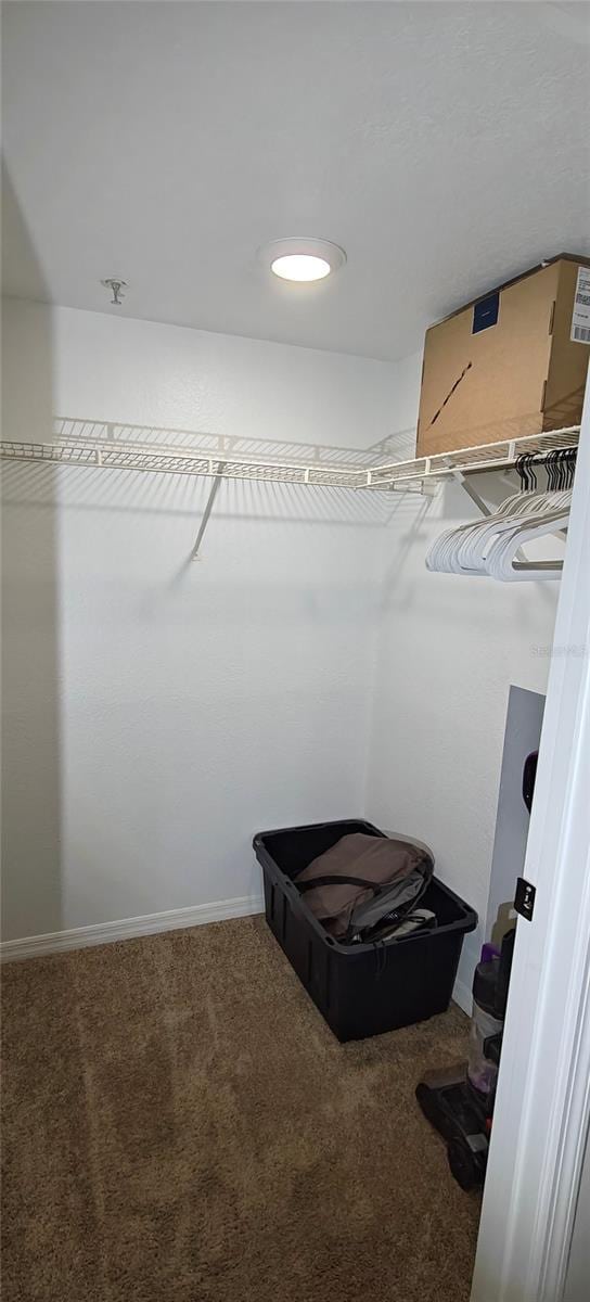7220 Westpointe Blvd Unit 1429, Orlando, FL 32835 - walk in closet with carpet floors