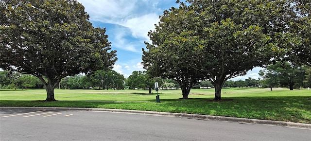 7220 Westpointe Blvd Unit 1429, Orlando, FL 32835 - view of property's community with a lawn and view of scattered trees