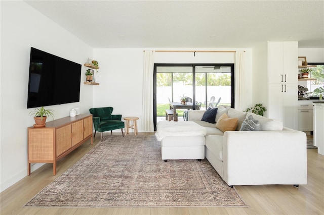 3920 Basswood Dr, Sarasota, FL 34232 - living room featuring light wood finished floors