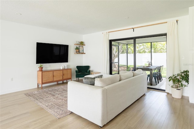 3920 Basswood Dr, Sarasota, FL 34232 - living room featuring light wood finished floors and a textured ceiling