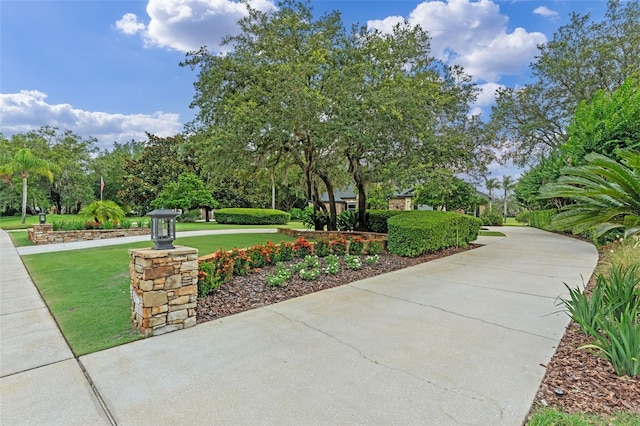 1224 Northern Way, Winter Springs, FL 32708 - view of home's community with a yard and view of wooded area