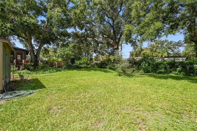 524 S Lakeview Ave, Winter Garden, FL 34787 - view of green lawn