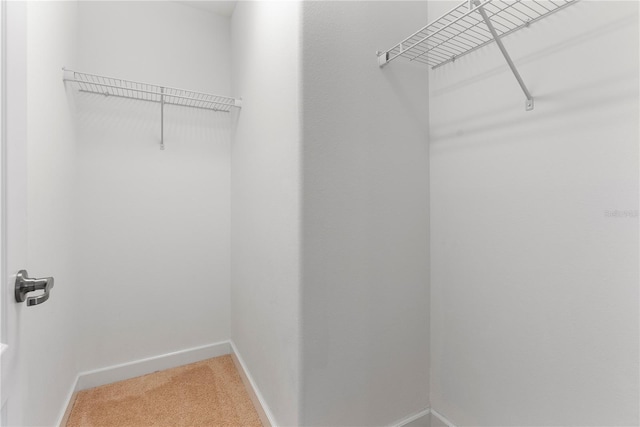 7409 Fairgrove Ave, Windermere, FL 34786 - spacious closet with light carpet