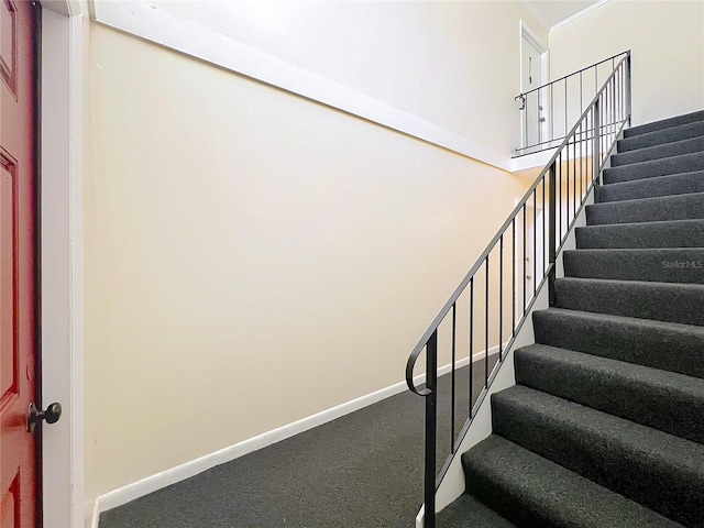 200 St Andrews Blvd Unit 911, Winter Park, FL 32792 - stairs with carpet floors