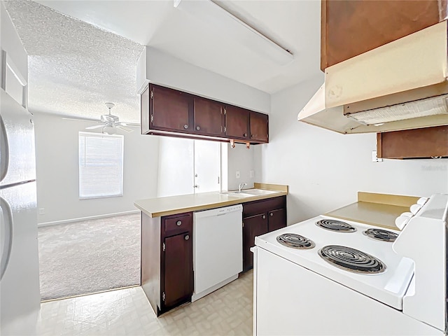 200 St Andrews Blvd Unit 911, Winter Park, FL 32792 - kitchen with white appliances, ceiling fan, extractor fan, light countertops, and dark brown cabinets
