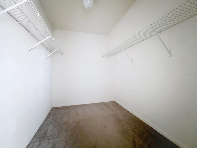200 St Andrews Blvd Unit 911, Winter Park, FL 32792 - spacious closet with carpet