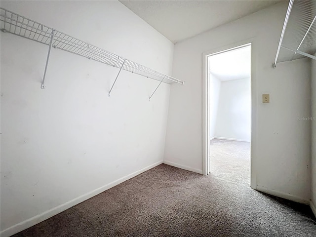 200 St Andrews Blvd Unit 911, Winter Park, FL 32792 - walk in closet with carpet flooring