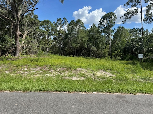 E 2nd Ave, Deland, FL 32720 - photo 2