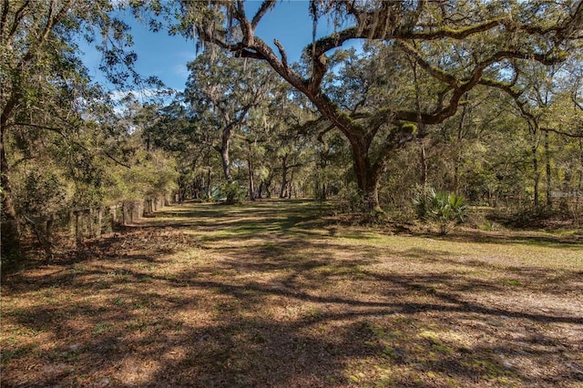 63 Lake Wood Cir, Ocala, FL 34482 - view of yard with a view of trees